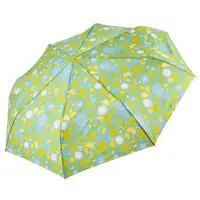 在飛比找momo購物網優惠-【rainstory】水果嘉年華抗UV雙人自動傘