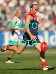 LARGE 8x6 INCH ACTION PHOTO OF MELBOURNE DEMONS FC GREAT DAVID NEITZ 3