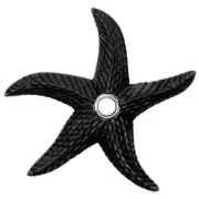 Brass Doorbell Starfish Designer Black Lighted Button Push Ringer House