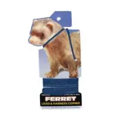 Coastal Pet-Ferret Lead and Harness Combo Black