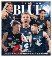 2024 AFL FOOTBALL Carlton blues TEAM POSTER,BARGAIN ,2