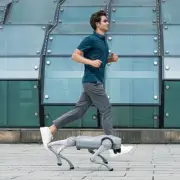 Go2-Pro Bionic Quadruped Robot Dog AI Robot Dog with Remote Control pe66