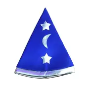 Blue Pointy Wizard Hat Book Week Dress Up Idea Magic AU