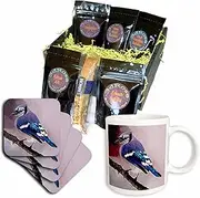 3dRose Blue Jay Coffee Gift Basket, Multi
