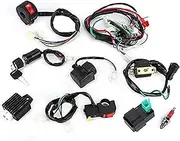 Vuzmode Bikes Wiring Harness Kit Ignition Coil Plug Rectifier Kit, for 50cc 70cc 110cc 125cc ATV Quad Bike Dirt Pit Bikes Go Karts Replacement Engine Ignition Coil Pack