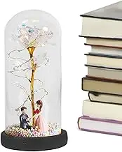 Preserved Flowers in Glass Dome - LED Romantic Lights for Bedroom Battery Operated - Romantic Eternal Floral -Lamp for Women -Mom