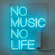No Music No Life Aqua Blue Acrylic 14"x10" Neon Sign Light Lamp With Dimmer