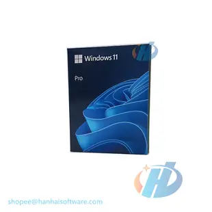 Windows 11 專業版 64位 正版 USB 零售彩盒 win 11 Pro 支持中英文