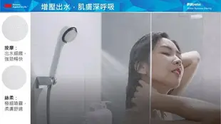 3M ShowerCare 除氯蓮蓬頭替換濾心(三心) SF-100 SF100