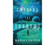 Chasing The Shadows