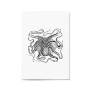 Octopus Drawing Minimal Sealife Wall Art #1