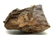 NWA 13116 H6 Chondrite Meteorite Rare type, Meteorite 55 Gram
