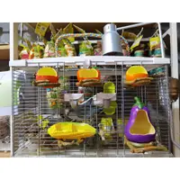 在飛比找蝦皮購物優惠-香濃❤水果造型食盒 虎皮玄鳳鸚鵡鳥食盒防撒防濺鸚鵡餵食器喂鳥