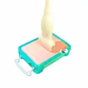 ultrasound phantom training model