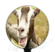 Goat Badge Holder, Funny Badge Reel, Cute Farm Retractable Badge Reel GG2038