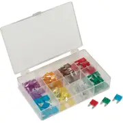 Titan Tools 45229 96pc Mini Blade Fuse Assortment