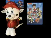 Swim Ways PAW Patrol Marshall Swim Huggable Pool/Bath Toy NEW+ DVD Used Bundle