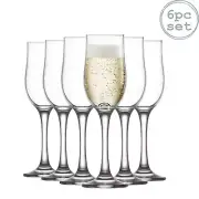 Nevakar Glass Champagne Tulips - 195ml - 6 Champagne Flutes Wine Glasses