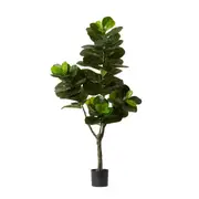 [James Lane] Fiddle Leaf Fig Grand Tree - 95cm x 95cm x 180cm