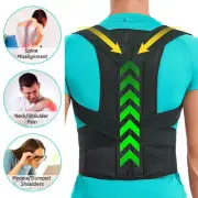 Heavy Duty Lift Lower Waist Support Belt Lumbar Back Brace Suspenders for Worker