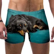 [VBFOFBV] Men's Printed Jammer Swimsuit Swim Shorts, Dog Animal Border Collie