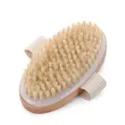 Massage Body Brush or Dry Brushing Body Exfoliating Bath Brush Natural B2Y9