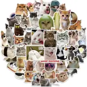 50Pcs Cats Sticker Kids Sticker Cartoon Animal Sticker for Teacher Rewarding