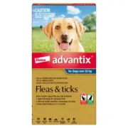 Advantix for Extra Large Dogs Over 25kg Blue Grey Kills Fleas and Ticks 3 pack