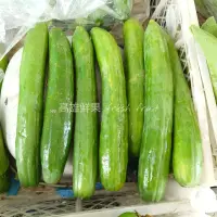 在飛比找蝦皮購物優惠-【高雄鮮果】黃瓜 小黃瓜 青瓜 一斤 台灣在地 蔬菜水果