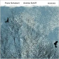 在飛比找樂天市場購物網優惠-席夫：舒伯特印象 András Schiff: Franz 