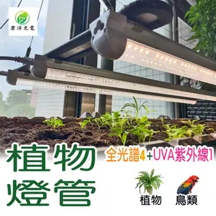 T8 4呎 植物燈管 UV植物燈 紫外線全光譜燈管 紫外線植物燈 25瓦 多肉燈 觀葉植物 塊根燈