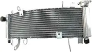 Compatible with 1998-2003 Suzuki TL1000R TL 1000 R Aluminum Radiator Cooler Cooling Coolant 1998 1999 2000 2001 2002 2003