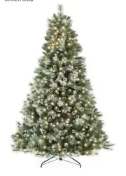 9 ft. Pre-Lit LED Sparkling Amelia Frosted Pine Tree W/Remote