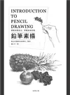 鉛筆素描：圖解基礎技法掌握素描訣竅 (二手書)