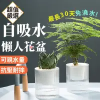 在飛比找momo購物網優惠-【DREAMCATCHER】自動吸水花盆 大款(吸水花盆/懶