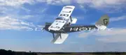 DH Gypsy Moth 45" WS RC Model Airplane Laser Cut Balsa & Ply Short Kit W/ Plans