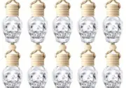 Car Air Freshener Bottles,10 Packs Empty Hanging Car Diffuser Bottle ...SKULL