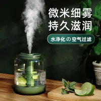 在飛比找蝦皮購物優惠-【台灣現貨】花果加濕器 空氣凈化家用靜音大容量帶夜燈可加花瓣