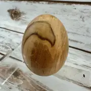 Spalted Maple Egg #1120