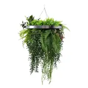 Silver Artificial Hanging Green Wall Disc 40cm UV Resistant