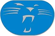 NFL Universal Jewelry Caps PIN Carolina Panthers Bold
