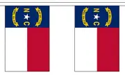 NORTH CAROLINA U.S. STATE BUNTING 9 metres 30 flags Polyester flag