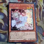 卡片屋 遊戲王 雕鑽 灰流晴 RC04-JP009