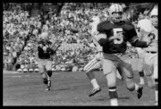 Green Bay Packers Fullback Jim Taylor receives a pass during the S- Old Photo