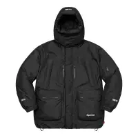 在飛比找蝦皮商城優惠-SUPREME FW22 GORE-TEX 700-Fill