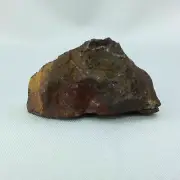 Rough Brecciated Jasper Specimen 170707 41.2mm Stone of Vitality Strength