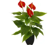 Artificial Potted Anthurium Plant Anthurium Exotic Flamingo Flower Flamingo Flower Red Flower Exotic Plant Flamingo Plant Artificial Plant