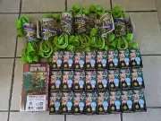 Miracle LED 4 Socket LED Grow 24 Light Bulb Kit With Timer Blue Hydroponics Kit