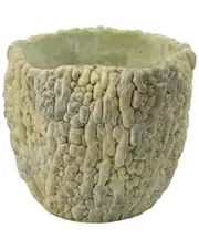 A&B Home 6in Bitter Gourd Outdoor Planter