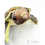 野生動物系列~ 仿真海龜娃娃 烏龜 綠蠵龜 愛好者快收集